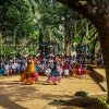 තෛපොංගල් උත්සවය 2019